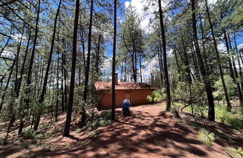 Huasca De Ocampo House | Cem-Anáhuac Cabin in the woods
