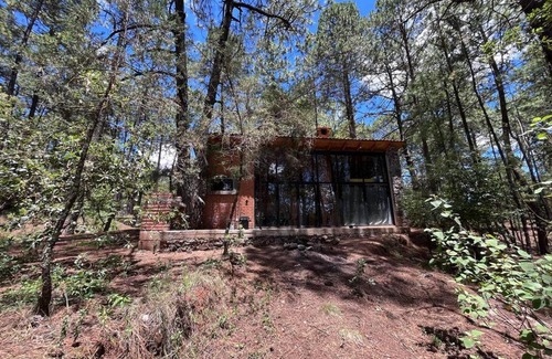 Huasca De Ocampo House | Cem-Anáhuac Cabin in the woods