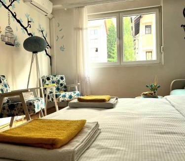 Visegrad Apartment | Center Apartment