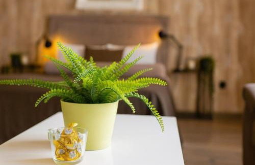 Savamala Apartment | Central Belgrade Apartments LUX