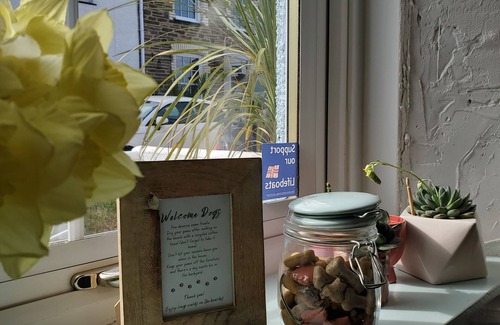 Newquay Cottage | Central Cottage Newquay: Quiet Street, Beaches & Shops Nearby with your dog.