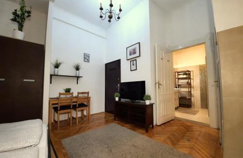Terezvaros Apartment | Central Gold Apartment