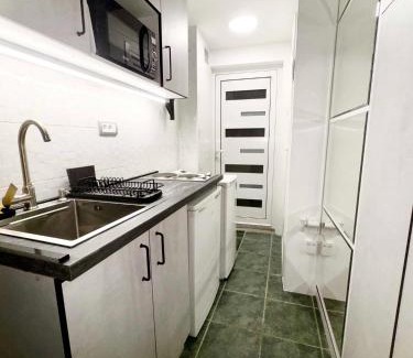 Kosancicev Venac Apartment | Central Mini Spot