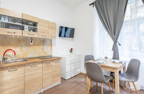 Nepszinhaz negyed Apartment | Central NEW Studio - Simple Stay