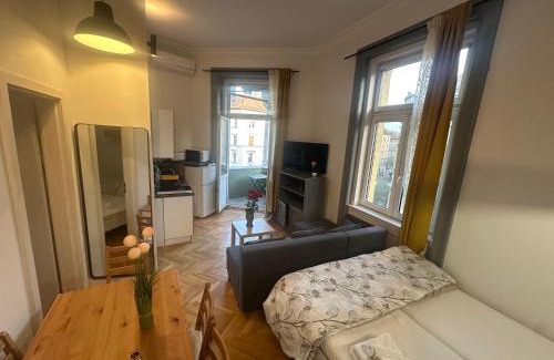 Palace District Apartment | Central Panorama Balcony ,2AC,2BR Renovated