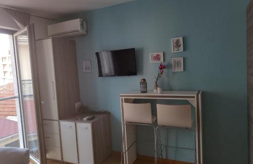 Medijana Apartment | Central Park
