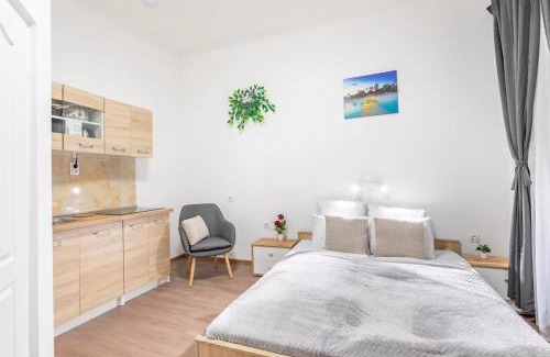 Nepszinhaz negyed Apartment | Central Simple Studio