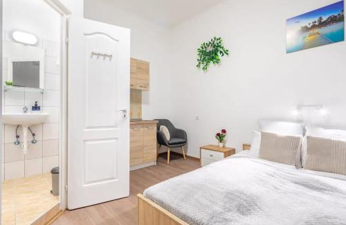 Nepszinhaz negyed Apartment | Central Simple Studio