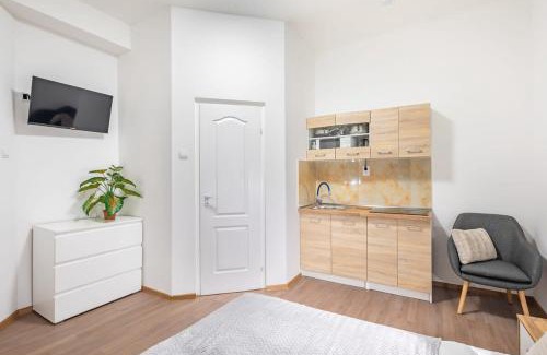 Nepszinhaz negyed Apartment | Central Simple Studio