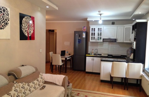 Downtown Ulaanbaatar Apartment | Centrally located, clean and comfortable flat
