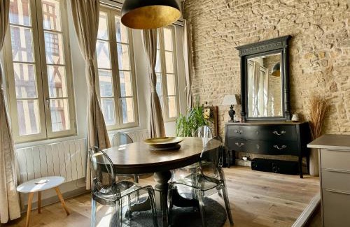 Old Town Apartment | Centre historique de Dijon "Le Lion des Ducs" et "Le Lion des Ducs with Terrace"