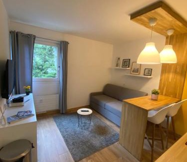 Saint-Gervais-les-Bains Apartment | Centre Saint-Gervais studio Jaune moderne proche télécabine 2 pers