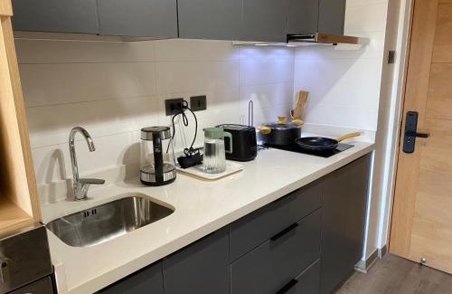 Concepcion Apartment | Centrico Depto Climatizado