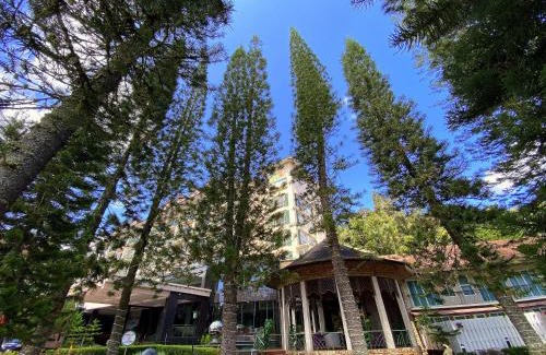Tanah Rata Hotel | Century Pines Resort Cameron Highlands
