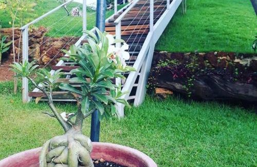 Palmas House | Chácara Por do Sol Beira Lago