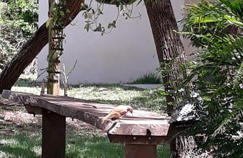 Bonito House | Chácara Primavera