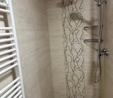 Bartosovice v Orlickych horach House | Chata Orlice