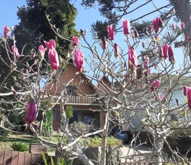 Lages House | Chalé ensolarado