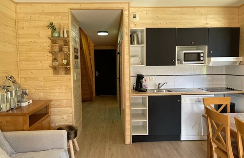 La Joue du Loup Ski Chalet | Chalet 9 Personnes, Près des Pistes, Accès Piscine, Wifi et Netflix Inclus