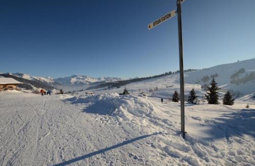 Les Saisies Apartment | Chalet A, Village des Lapons Les Saisies, 3 chambres et 1 espace nuit mezzanine
