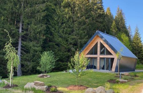 Zelezna Ruda Ski Chalet | Chalet Belveder Horská chata