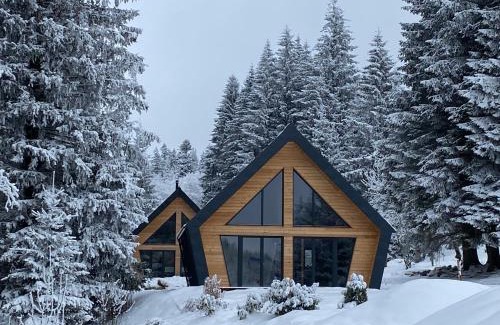 Zelezna Ruda Ski Chalet | Chalet Belveder Horská chata