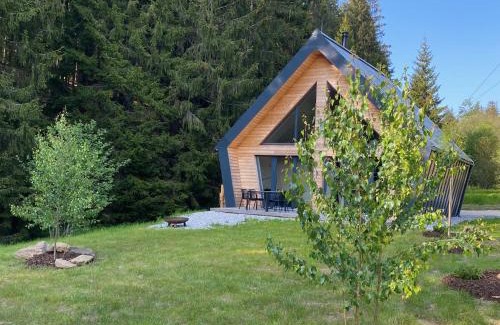 Zelezna Ruda Ski Chalet | Chalet Belveder Horská chata