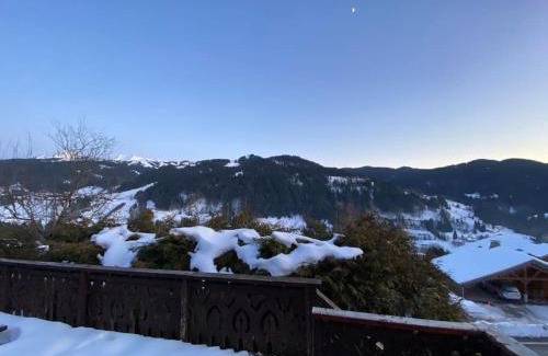 Les Gets Ski Chalet | Chalet Cosy Les Gets Vue Montagne
