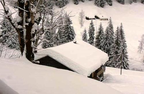 Beaufort Ski Chalet | Chalet cosy sur pistes avec cheminée, terrasse et studio indépendant pour 14 pers. - FR-1-342-239