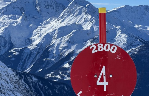 Les Eucherts Ski Chalet | Chalet Epilobe