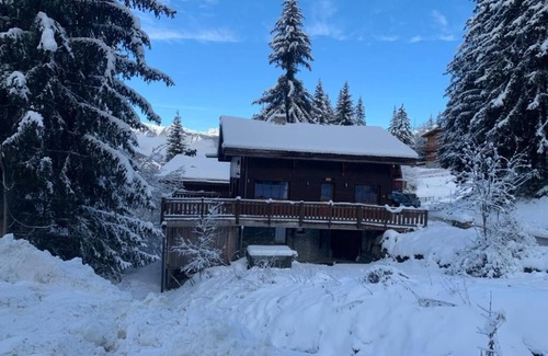 La Perriere Ski Chalet | Chalet, Ground floor, view forest, terrace, balcony, fireplace or stove, tv, ski locker, 155m²