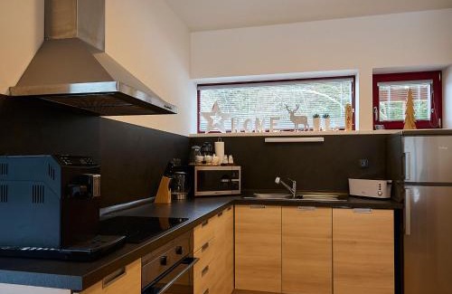 Harrachov Ski Chalet | Chalet Harrachov by Interhome