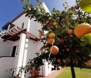 Bolonia House | Chalet individual en el pueblo de Zahara
