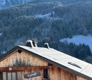 Abondance Ski Chalet | Chalet la griotte
