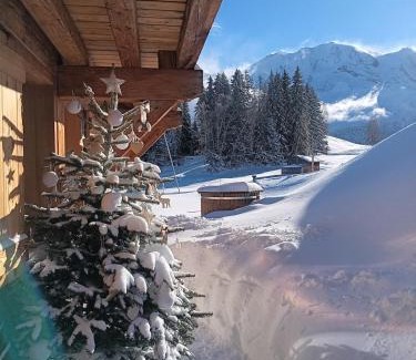 Saint-Nicolas-de-Veroce Ski Chalet | Chalet le Plane