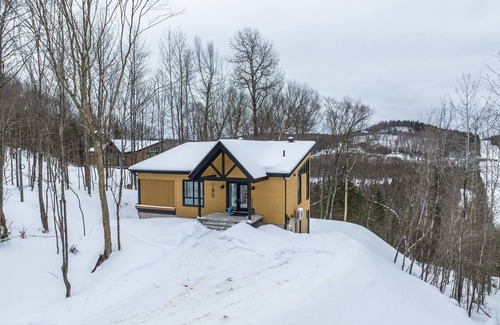 Saint-Faustin-Lac-Carre House | Chalet Le Greenwood - Mountain view & Private spa