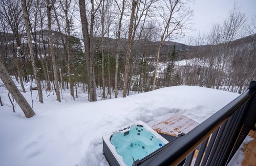 Saint-Faustin-Lac-Carre House | Chalet Le Greenwood - Mountain view & Private spa