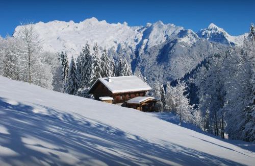 Samoens Ski Chalet | Chalet Les Pellys - OVO Network
