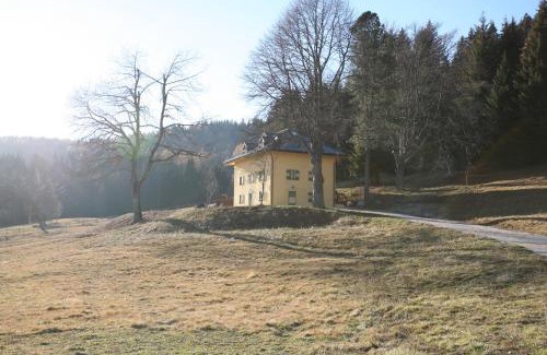 Telve Apartment | Chalet Musiera