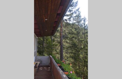 Borca di Cadore Ski Chalet | Chalet nel bosco