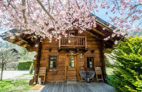 Les Praz-de-Chamonix Ski Chalet | Chalet Sépia