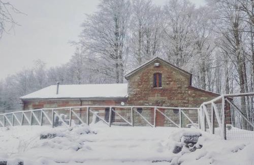 Castel del Piano Ski Chalet | Chalet Vecchio Rifugio - Monte Amiata
