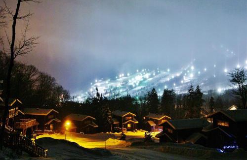 Stoneham Ski Chalet | Chalets Alpins -11 Chemin Alpin