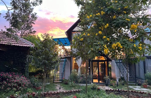Masinagudi House | Chalets Resort Masinagudi