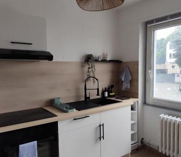 Montbeliard Apartment | Chaleureux T2 Centre Ville