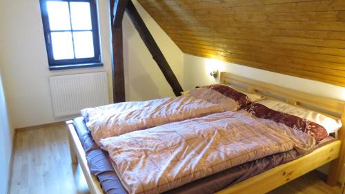 Haje nad Jizerou Ski Chalet | chalupa Krkonoše