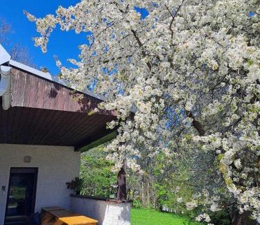 Strazne House | Chalupa Na Desítce