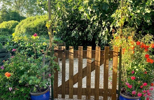 Apt Bed & Breakfast | Chambre d'hôtes Le Cèdre