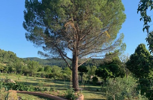 Apt Bed & Breakfast | Chambre d'hôtes Le Cèdre