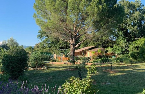Apt Bed & Breakfast | Chambre d'hôtes Le Cèdre